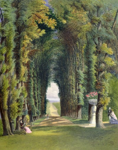 Vista en los jardines de Teddesley, de 